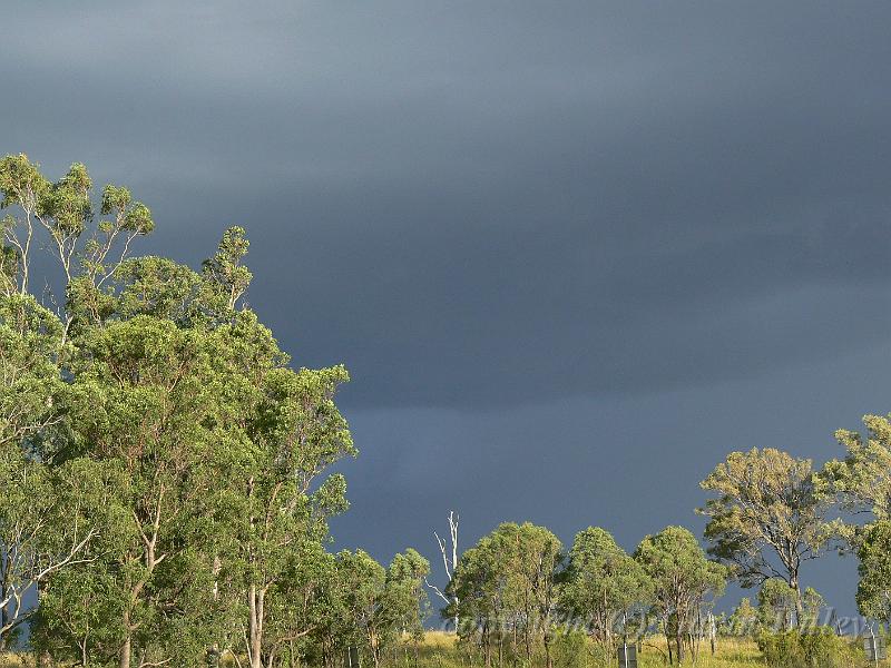 Storm light, Cunningham's Gap P1070999.JPG